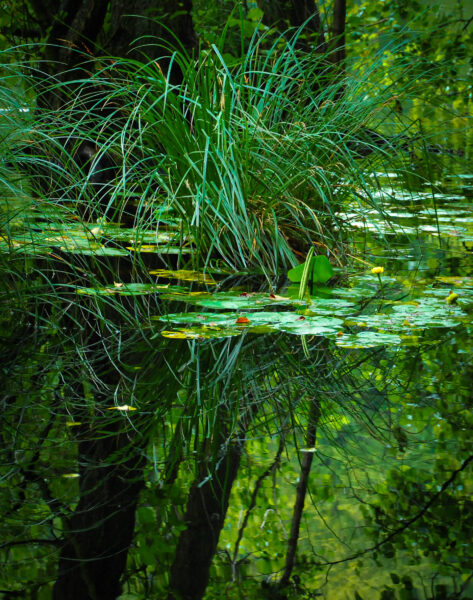 Nationalpark Jasmund, Ostsee