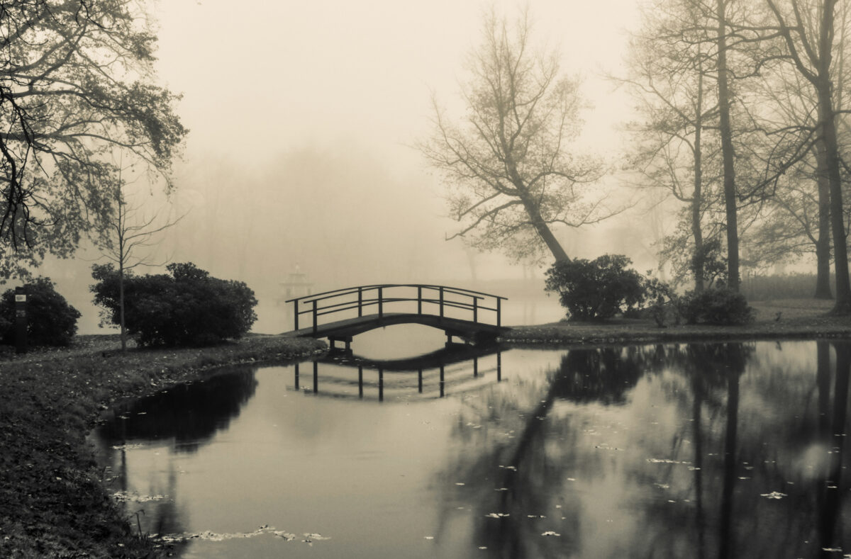 Schlosspark Zabeltitz im Nebel